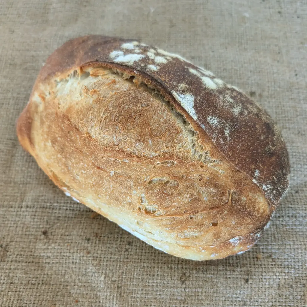 Pan Masa Madre