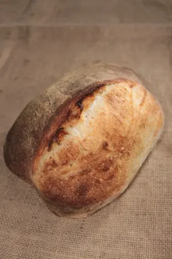 [PanMasaMadre] Pan Masa Madre